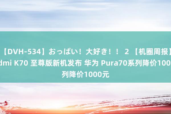 【DVH-534】おっぱい！大好き！！ 2 【机圈周报】Redmi K70 至尊版新机发布 华为 Pura70系列降价1000元