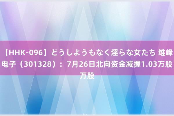 【HHK-096】どうしようもなく淫らな女たち 维峰电子（301328）：7月26日北向资金减握1.03万股