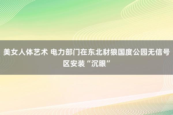 美女人体艺术 电力部门在东北豺狼国度公园无信号区安装“沉眼”