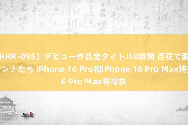 【HHK-095】デビュー作品全タイトル8時間 百花で脱いだオンナたち iPhone 16 Pro和iPhone 16 Pro Max将撑执