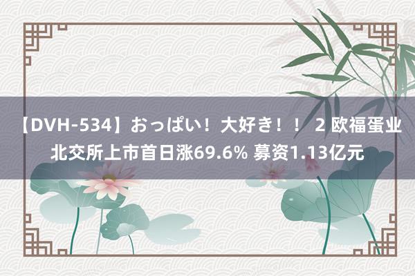 【DVH-534】おっぱい！大好き！！ 2 欧福蛋业北交所上市首日涨69.6% 募资1.13亿元