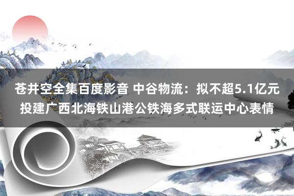 苍井空全集百度影音 中谷物流：拟不超5.1亿元投建广西北海铁山港公铁海多式联运中心表情