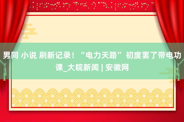 男同 小说 刷新记录！“电力天路” 初度罢了带电功课_大皖新闻 | 安徽网