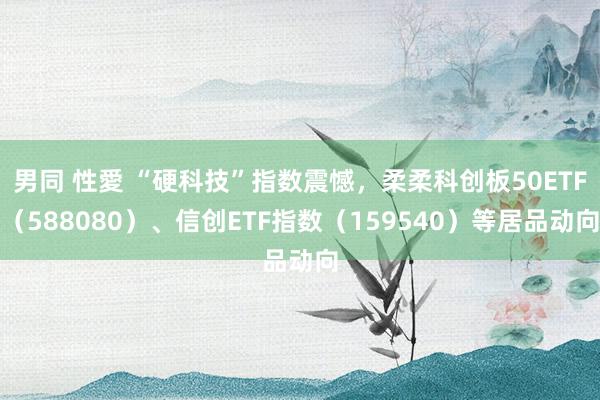 男同 性愛 “硬科技”指数震憾，柔柔科创板50ETF（588080）、信创ETF指数（159540）等居品动向