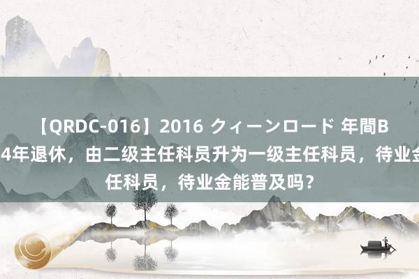 【QRDC-016】2016 クィーンロード 年間BEST10 2024年退休，由二级主任科员升为一级主任科员，待业金能普及吗？