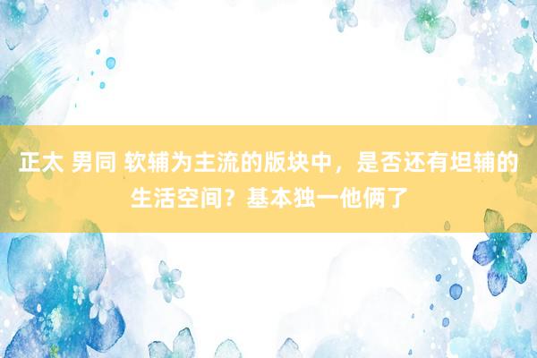 正太 男同 软辅为主流的版块中，是否还有坦辅的生活空间？基本独一他俩了