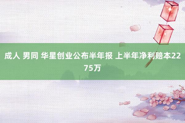 成人 男同 华星创业公布半年报 上半年净利赔本2275万